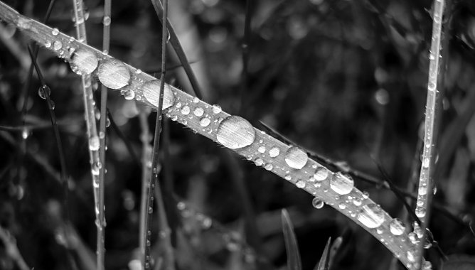Wetterbild (Foto: Gernot Thelemann)