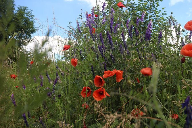 Wetterbild (Foto: Angelo Glashagel)