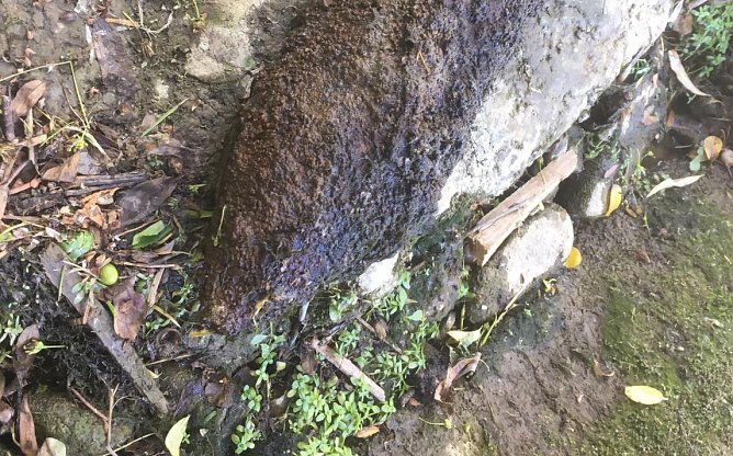 Granate bei Angelausflug gefunden (Foto: Landespolizeiinspektion Nordhausen)