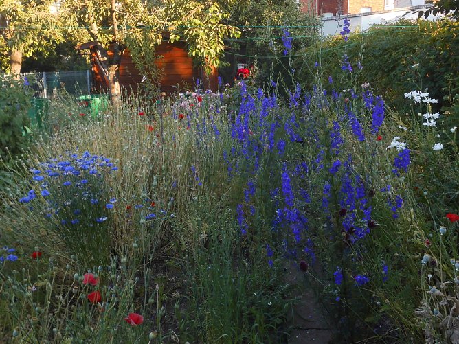 Wetterbild (Foto: Bernd Thielbeer)