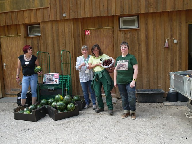 Im B&auml;renpark (Foto: Ilka K&uuml;hn)