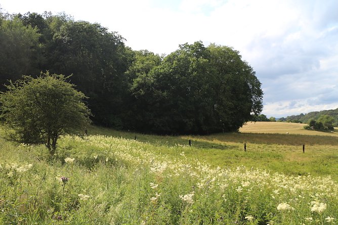 wetter (Foto: Angelo Glashagel)