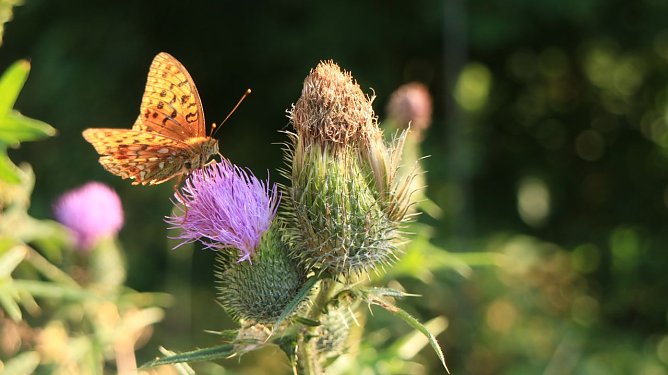 Wetterbild (Foto: Angelo Glashagel)