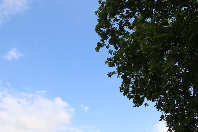 Wetterbild (Foto: Angelo Glashagel)