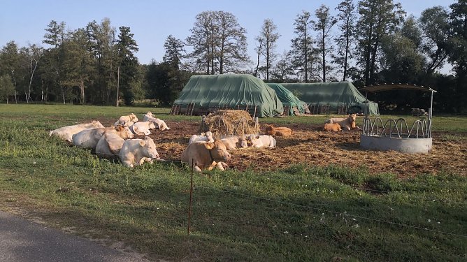 Idylle (Foto: privat)