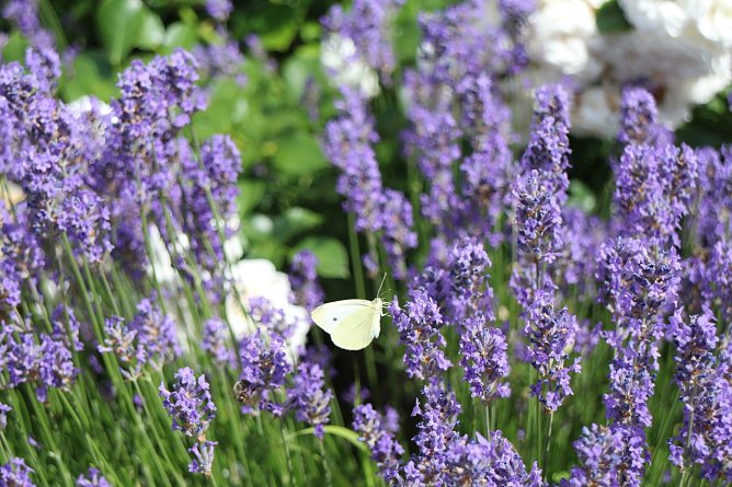 Wetterbild (Foto: Angelo Glashagel)