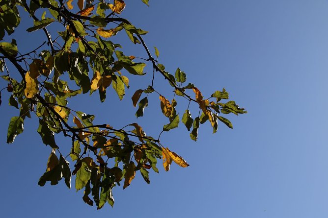 Wetterbild (Foto: Angelo Glashagel)