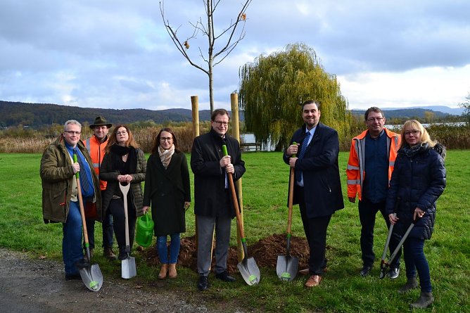 >Baumpflanzung auf der Einheitsallee (Foto: Guido Knob, Stadtverwaltung Mühlhausen) >Baumpflanzung auf der Einheitsallee (Foto: Guido Knob, Stadtverwaltung Mühlhausen)