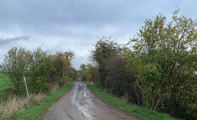 wetter (Foto: oas) wetter (Foto: oas)