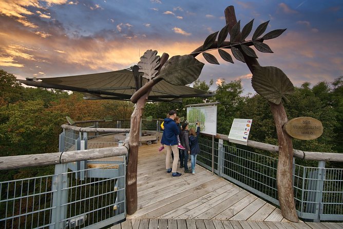 Seit 2005 ist der Baumkronenpfad im Nationalpark Hainich ein beliebtes Ausflugsziel Naturbegeisterte jeden Alters (Foto: Tino Sieland)