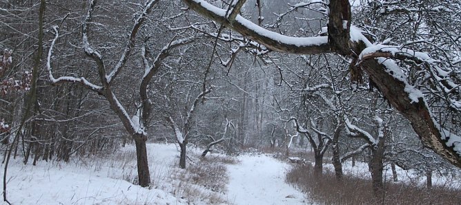 Winterwetter (Foto: AGL) Winterwetter (Foto: AGL)