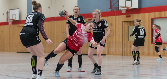 Handballspiel (Foto: Henry Müller, Archiv) Handballspiel (Foto: Henry Müller, Archiv)