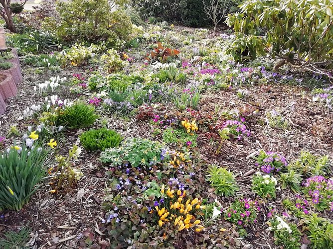Die Farben der Natur (Foto: W. J&ouml;rgens)