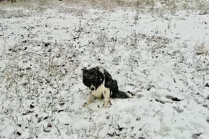 So sah es gestern bei Sophienhof aus (Foto: W. J&ouml;rgens)