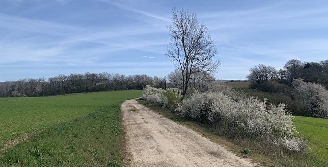 wetter (Foto: oas) wetter (Foto: oas)