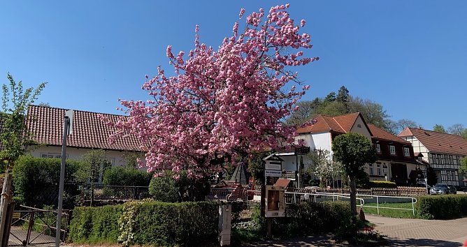 Wetter (Foto: oas) Wetter (Foto: oas)