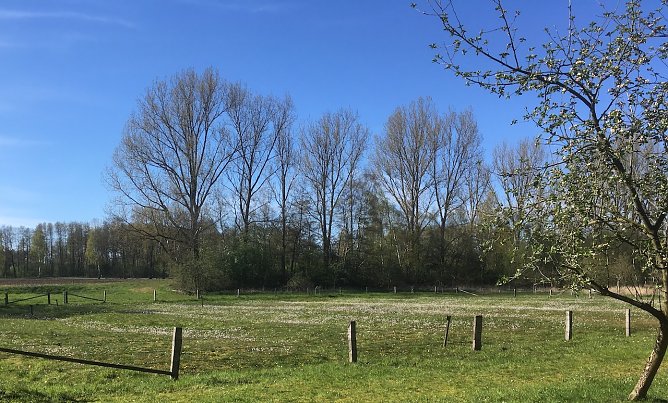 wetter (Foto: oas) wetter (Foto: oas)