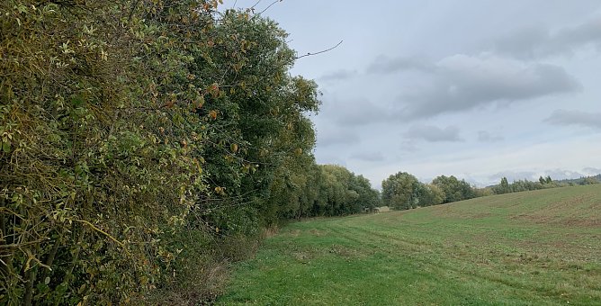 Windlücke Nordhausen (Foto: oas) Windlücke Nordhausen (Foto: oas)