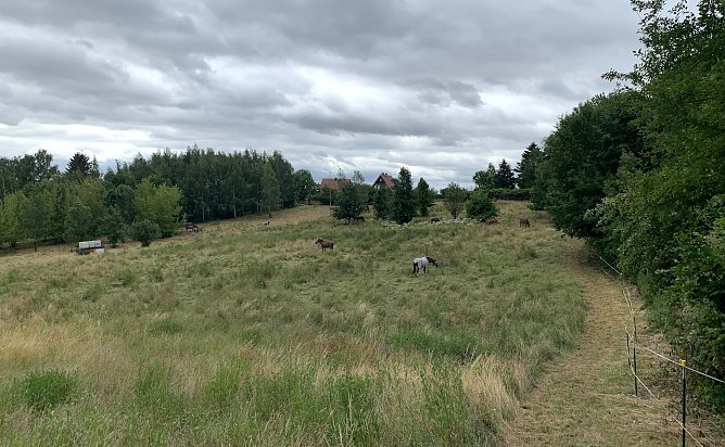 Nordhausen Nord (Foto: oas)