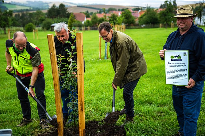 Der einhundertste Obstbaum wird eingepflanzt  (Foto: Schutzgemeinschaft Deutscher Wald Landesverband Th&uuml;ringen)