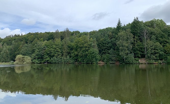 Teich in Bad Sachsa  (Foto: oas)