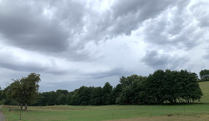 Bei Limlingerode (Foto: oas)