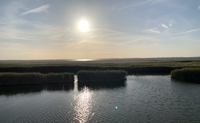 Sonnenuntergang am Saaler Bodden (Foto: oas)