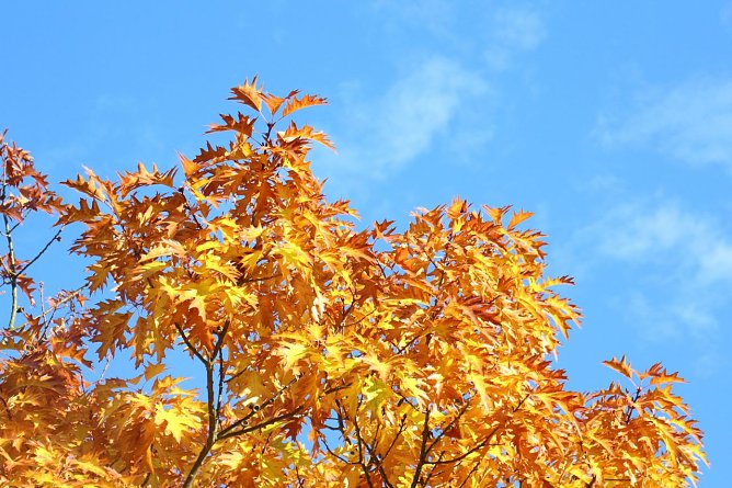 Wetterbild (Foto: agl)