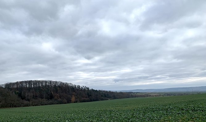 Blick auf das Kyfhäusergebirge (Foto: oas) Blick auf das Kyfhäusergebirge (Foto: oas)