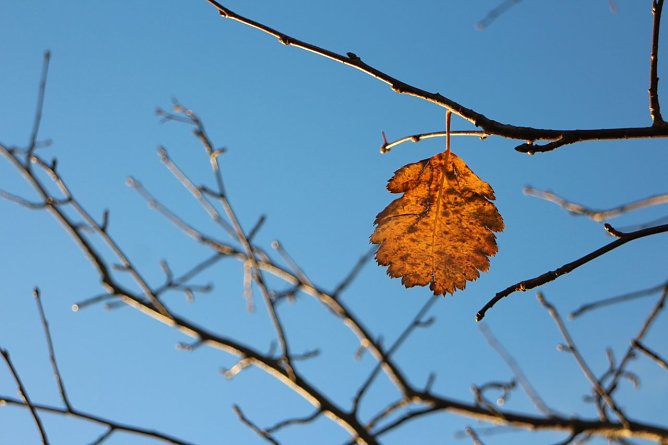 Wetterbild (Foto: agl) Wetterbild (Foto: agl)