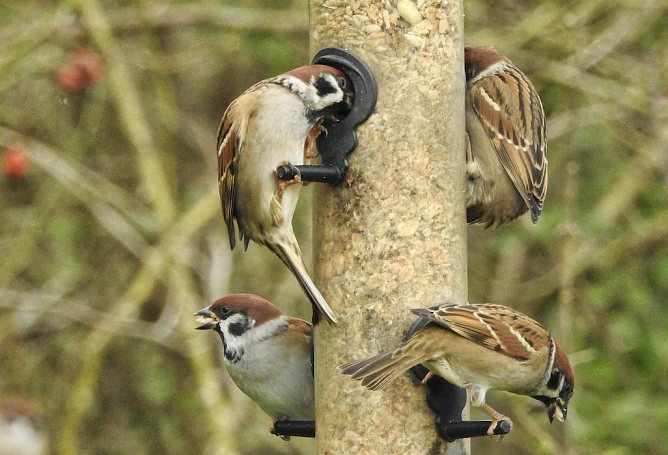 Futtersilo (Foto: Arne von Brill)