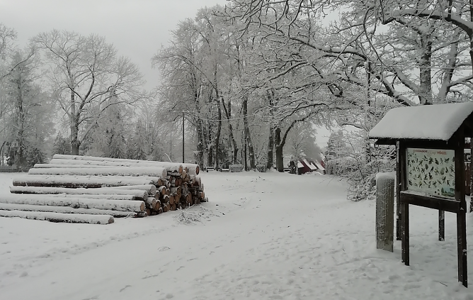 Sophienhof im Winterkleid (Foto: W. Jörgens) Sophienhof im Winterkleid (Foto: W. Jörgens)