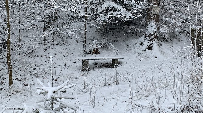 Winteridyll bei Benneckenstein (Foto: oas)