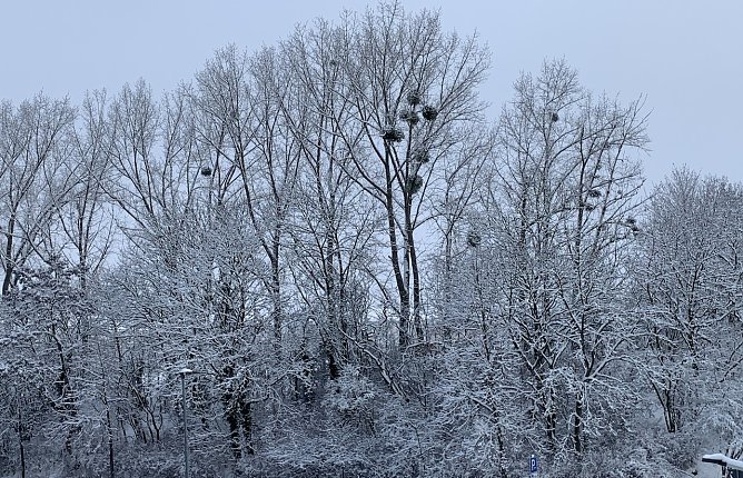 Winter in Nordhausen (Foto: oas)