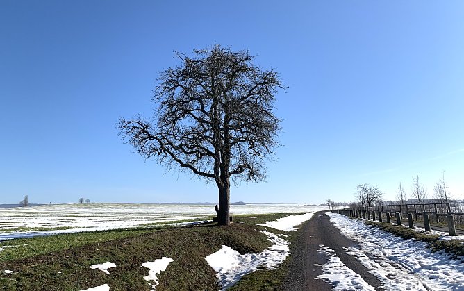 Alte Leipziger Stra&szlig;e bei Bielen (Foto: oas)