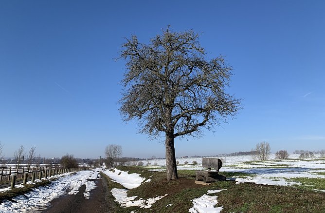 Bei Bielen (Foto: oas)