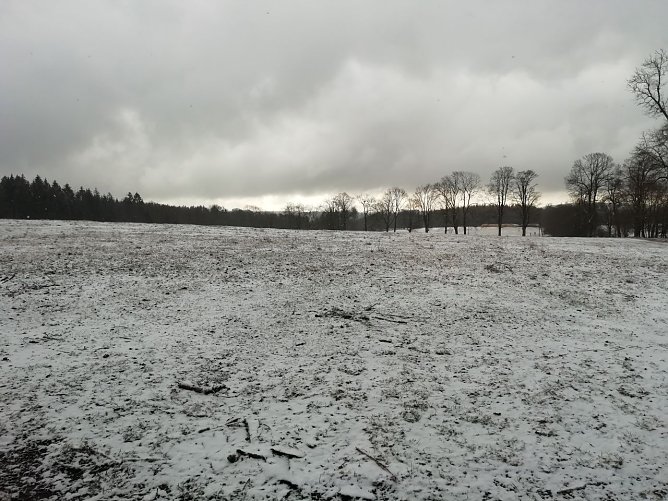 Sophienhof zeigte sich heute morgen noch einmal winterlich (Foto: W. Jörgens) Sophienhof zeigte sich heute morgen noch einmal winterlich (Foto: W. Jörgens)