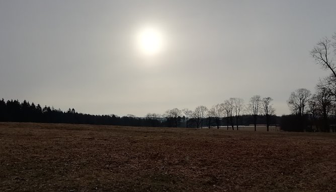 Im Hochharz (Foto: W.Jörgenss) Im Hochharz (Foto: W.Jörgenss)