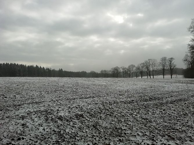 Bei Sophienhof (Foto: W.Jörgens) Bei Sophienhof (Foto: W.Jörgens)