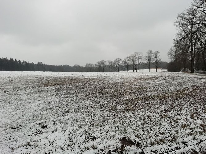 Tr&uuml;b und frisch war es heute morgen auch in Sophienhof (Foto: W. J&ouml;rgens)