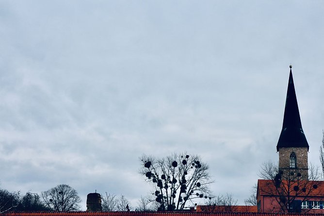 Wetterbild (Foto: agl) Wetterbild (Foto: agl)