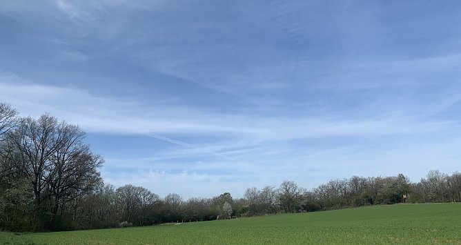 Windl&uuml;cke (Foto: nnz-Archiv)