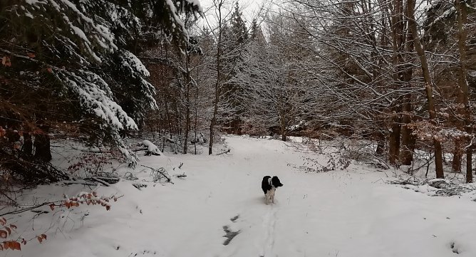 In Sophienhof ist weiter Winter (Foto: W.J&ouml;rgens)