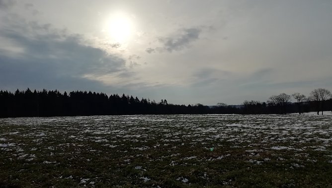 Selbst in Sophienhof ist der Winter jetzt auf dem R&uuml;ckzug (Foto: W.J&ouml;rgens)