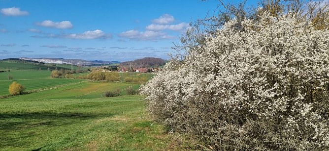Wetterbild (Foto: T. Alscher)