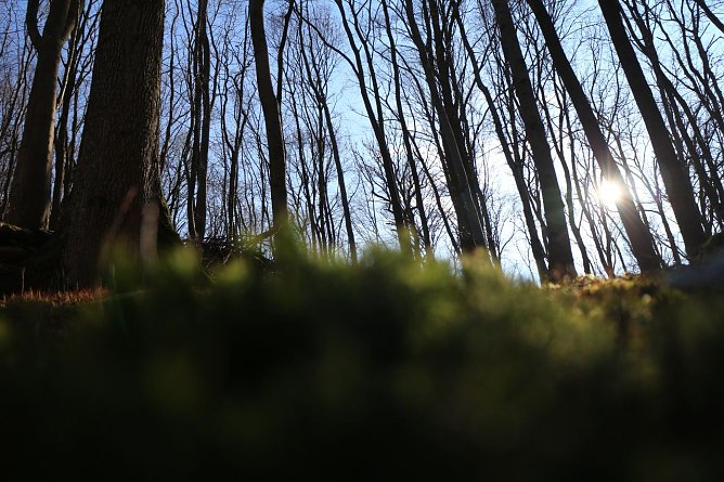 Wetterbild (Foto: agl) Wetterbild (Foto: agl)