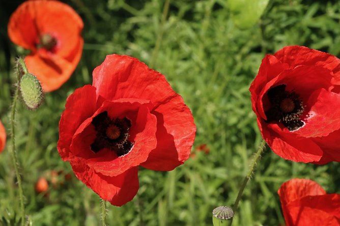 Wetterbild (Foto: agl)