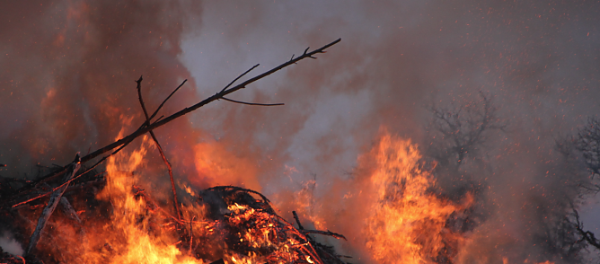 Waldbrandgefahr in Th&uuml;ringen, Symbolbild (Foto: nnz-Archiv)