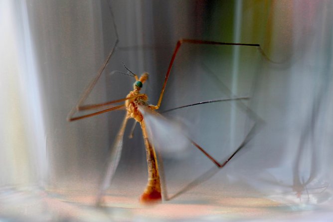 Wer tanzt denn da? (Foto: Eva Maria Wiegand) Wer tanzt denn da? (Foto: Eva Maria Wiegand)