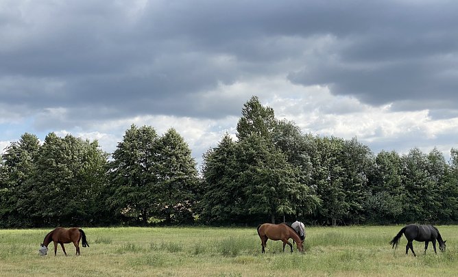 In der Windl&uuml;cke (Foto: oas)